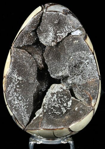 Septarian Dragon Egg Geode - Black Crystals #57420